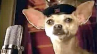 Animals In Advertising: A Hall Of Fame